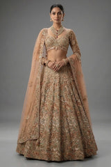 Champagne Beige Net Embellished Designer Lehenga