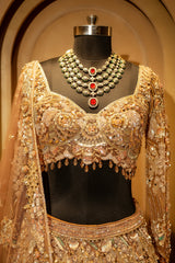 Champagne Beige Net Embellished Designer Lehenga