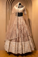 Champagne Brown Silk Embroidered Heritage Lehenga