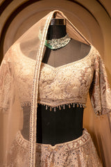 Champagne Brown Silk Embroidered Heritage Lehenga