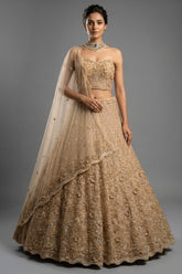 Champagne Gold Net Corset Lehenga with 3D Floral Appliqués and Architectural Cutwork