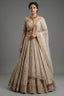 Royal Beige Net Bridal Lehenga with Luminescent Stone-Craft and Ethereal White Veil