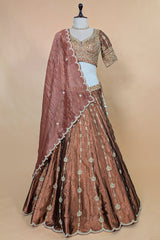 Brown Tissue Zardosi and Cutdana Worked Lehenga