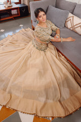 Golden Crush Tissue Lehenga with Heavily Embellished Jewel Stone Blouse with Bandhej Dupatta