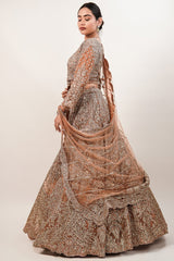Rose Gold Beige Net Lehenga with Heavily Handcrafted Work