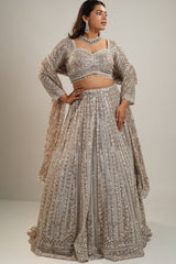 Champagne Gold Net Bridal Lehenga with Heavy Linear Sequin and Bead Embroidery