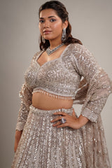 Champagne Gold Net Bridal Lehenga with Heavy Linear Sequin and Bead Embroidery