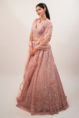 Blossom Pink Net Lehenga featuring Hand-Embellished V-Neck Blouse with Hanging Beads