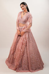 Blossom Pink Net Lehenga featuring Hand-Embellished V-Neck Blouse with Hanging Beads