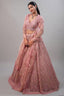Blossom Pink Net Lehenga featuring Hand-Embellished V-Neck Blouse with Hanging Beads