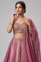 Pink Tissue Woven Panelled Lehenga