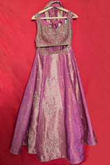 Pink Tissue Woven Panelled Lehenga