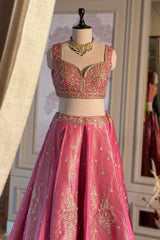 Pink Tissue Woven Panelled Lehenga