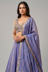 Lavender Purple Tissue Silk Panelled Lehenga