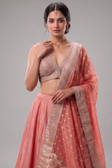 Pink Tissue Sequin Embroidered Lehenga