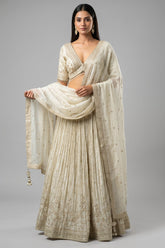 Cream Tissue Woven Lehenga with Embroidery Work
