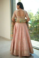 Baby Pink Banarasi Silk Woven Lehenga with Beads and Sequin Work on Border