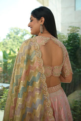 Baby Pink Banarasi Silk Woven Lehenga with Beads and Sequin Work on Border
