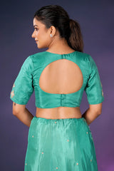 Sea Green Tissue Silk Saree with Sequin Border