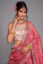 Cream Tissue Sequins Embroidery Lehenga
