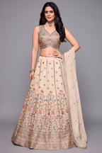 Cream Tissue Floral Embroidered Lehenga