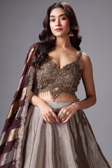 Silver and Golden Tissue Lehenga with Handwork Blouse