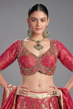 Deep Crimson Red Tissue Silk Floral Woven Jaal Lehenga with Paithani Border