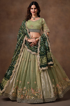 Sage Green Glass Tissue Lehenga Choli with Green Bandhej Dupatta