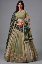 Sage Green Glass Tissue Lehenga Choli with Green Bandhej Dupatta