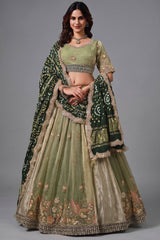 Sage Green Glass Tissue Lehenga Choli with Green Bandhej Dupatta