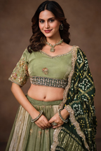 Sage Green Glass Tissue Lehenga Choli with Green Bandhej Dupatta