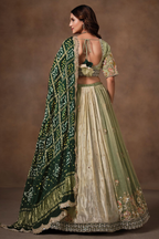 Sage Green Glass Tissue Lehenga Choli with Green Bandhej Dupatta