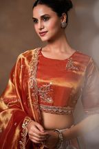 Grey and Orange Panelled Tissue Lehenga with Copper Tissue Border Dupatta