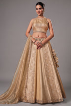 Ivory Tissue Silk and Banarasi Brocade Lehenga Choli