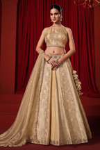 Ivory Tissue Silk and Banarasi Brocade Lehenga Choli
