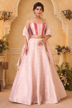 Pastel Pink Brocade Lehenga Set featuring Paneled Multi-Tonal Woven Corset and Banarasi Dupatta
