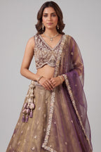Bronze Tissue Lehenga Choli with Contrast Net Dupatta