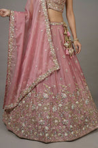 Blush Pink Tissue Lehenga Choli with Floral Lattice Embroidery