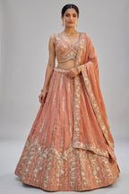 Rust Tissue Lehenga Choli with Vertical Sequin Stripe Embroidery