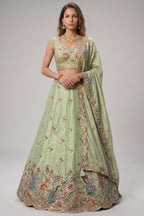 Pista Green Lehenga Choli with Peacock Floral Border