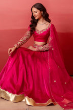 Rani Pink Organza Embroidered Lehenga Choli with Gold Border