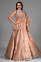 Beige Net High Neck Designer Metallic Stripe Lehenga Set with Attached Dupatta