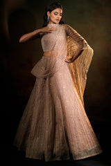 Beige Net High Neck Designer Metallic Stripe Lehenga Set with Attached Dupatta