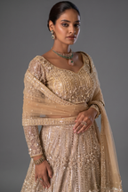 Champagne Gold Net Designer Sequinned and Dimoand Worked Lehenga Set
