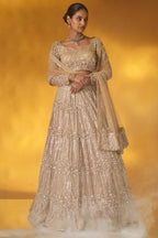 Champagne Gold Net Designer Sequinned and Dimoand Worked Lehenga Set
