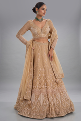 Rose Golden Net Designer Lehenga Set