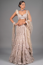 Champagne Beige Net Designer Embroidered Mermaid Style Lehenga Set