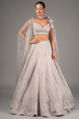 Silver Net Designer Lehenga Set with Cape Sleeves