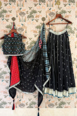 Black Cotton Silk Embroidered Lehenga