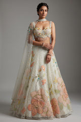 Mint Green Net Designer Floral Patch Worked Lehenga with Cape Dupatta